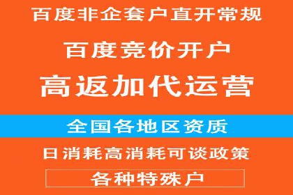 百度推广公司：如何通过精准投放提升品牌影响力